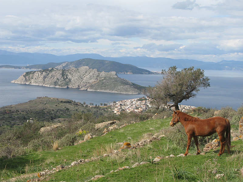 Hiking in Aegina